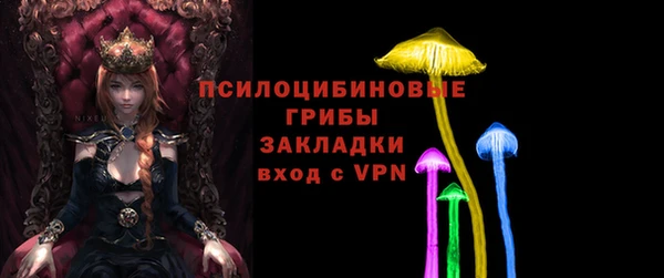 ECSTASY Белокуриха