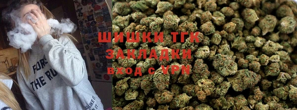 ECSTASY Белокуриха
