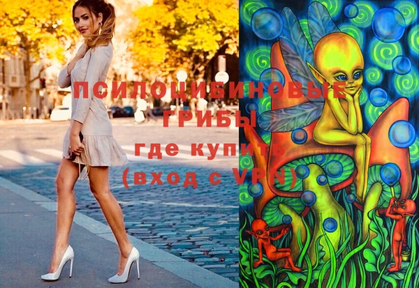 ECSTASY Белокуриха